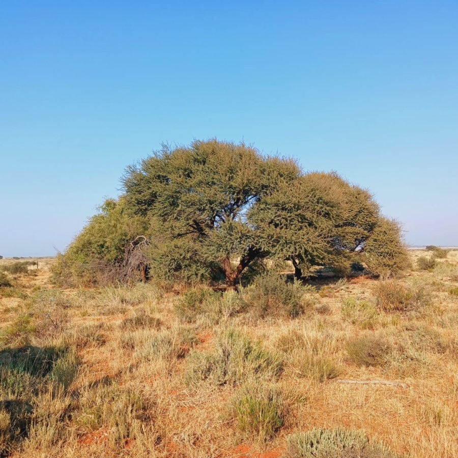  Bedroom Property for Sale in Jacobsdal Rural Free State